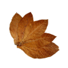 Tobacco Leaf Shop: натуральний листовий тютюн найвищої якості!
